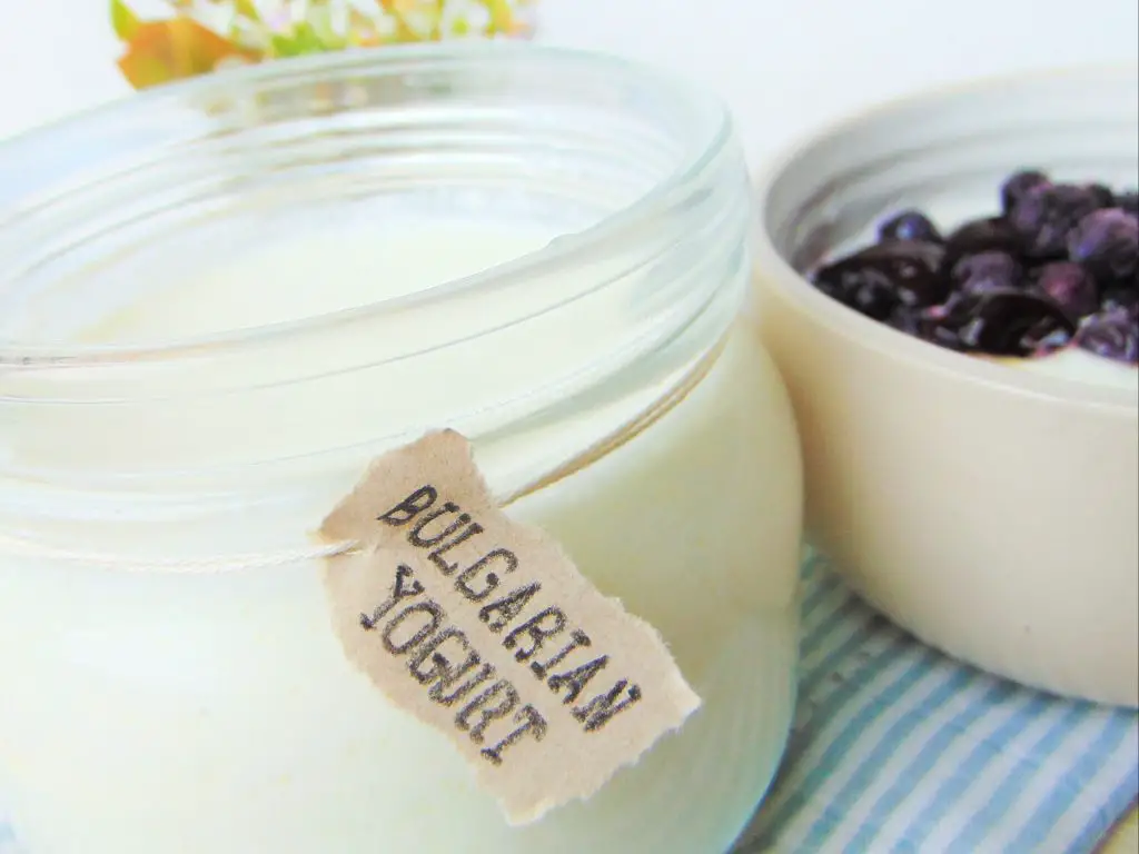 Instant Pot Bulgarian yogurt on glass jar and in bowl with berries