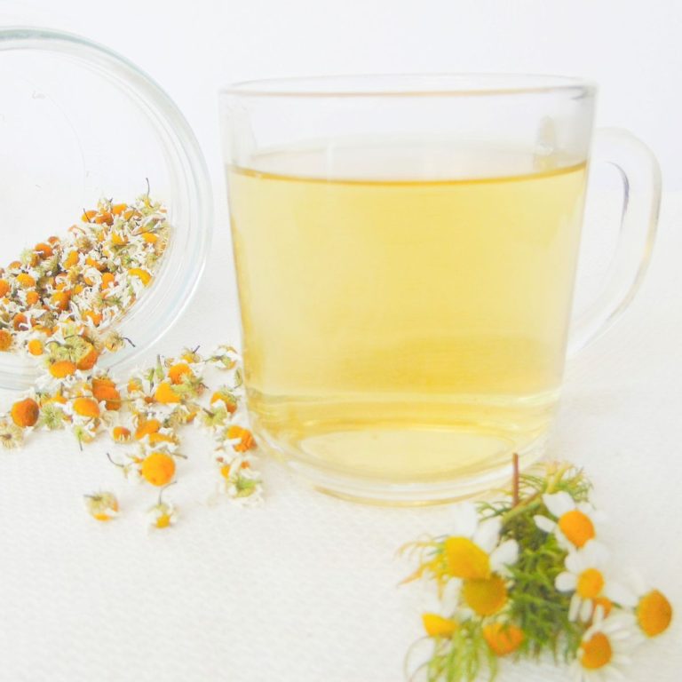 How to Grow and Use Chamomile