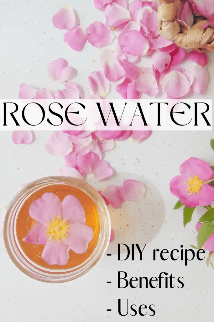 Rose Water: DIY Recipe, Benefits, and Uses
