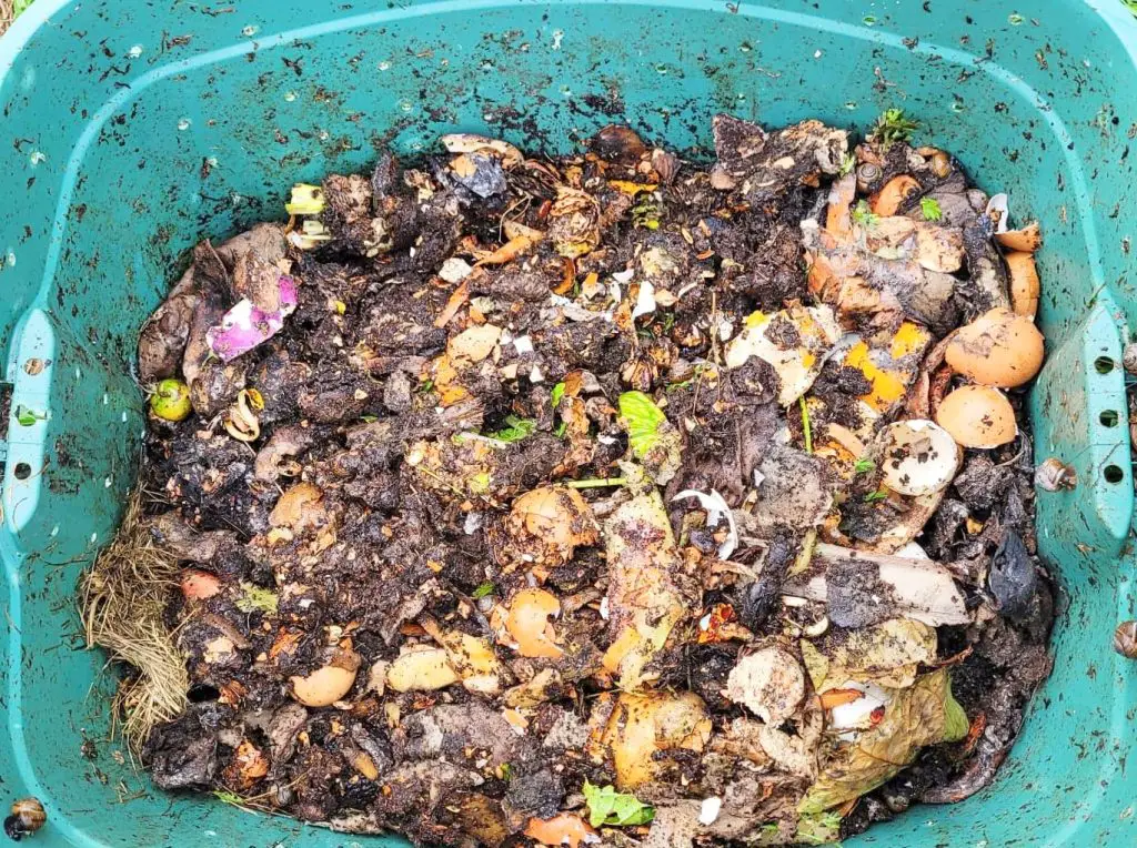 Making your own compost to use as fertilizer is a great budget-friendly gardening idea