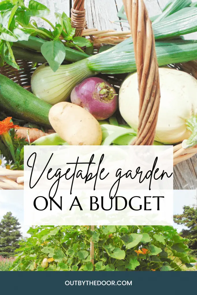 How to start a vegetable garden on a budget