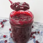 Jar and spoonful of partridgeberry jam with honey and gelatin on blue and white towel