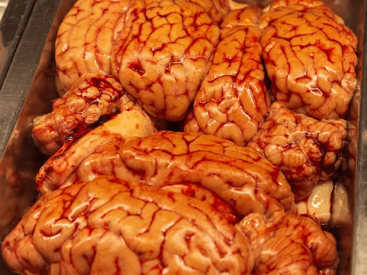 benefits of consuming brain