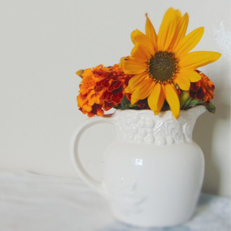 What is Simple Living And 10 Tips to Simplify your Life 1