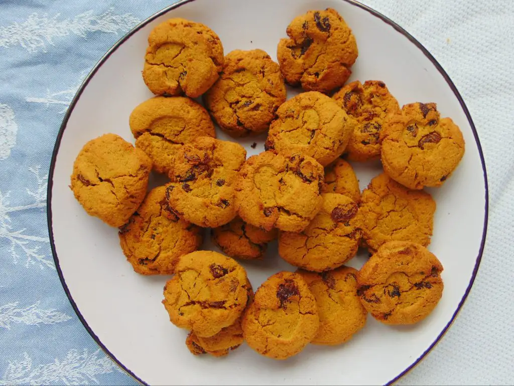 Coconut Flour Pumpkin Raisin Cookies (Grain-free, Gluten-free) on white and black plate with blue and white background