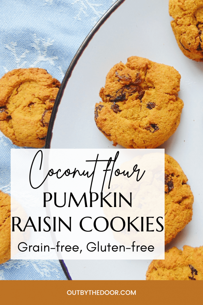 Coconut Flour Pumpkin Raisin Cookies (Grain-free, Gluten-free)