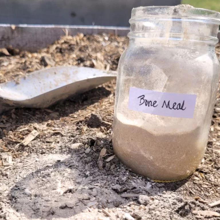 How to Make Bone Meal Fertilizer with Bones f1