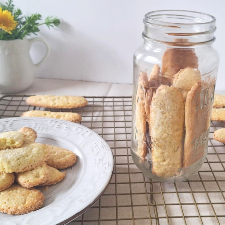 Easy Grain Free Ladyfingers with Coconut Flour f1
