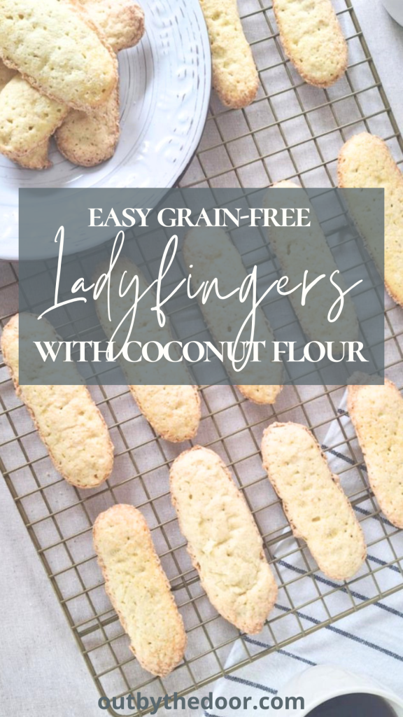 Easy grain-free ladyfingers recipe pin