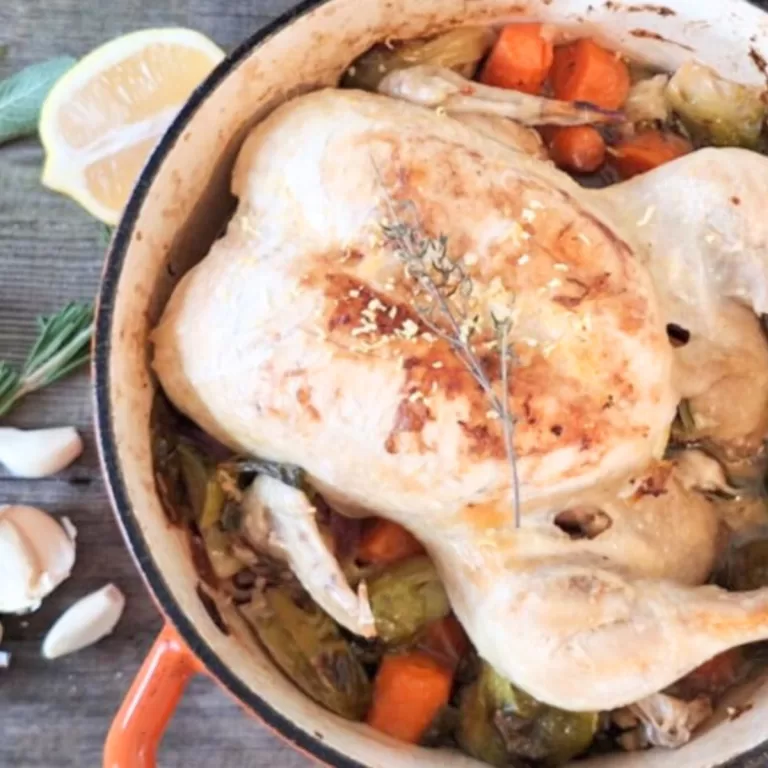 The Best one Pot Braised Whole Chicken and Veggies Primal Recipe f