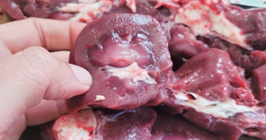 Close up of inner part of beef kidney showing the renal pyramids, which should be removed before cooking