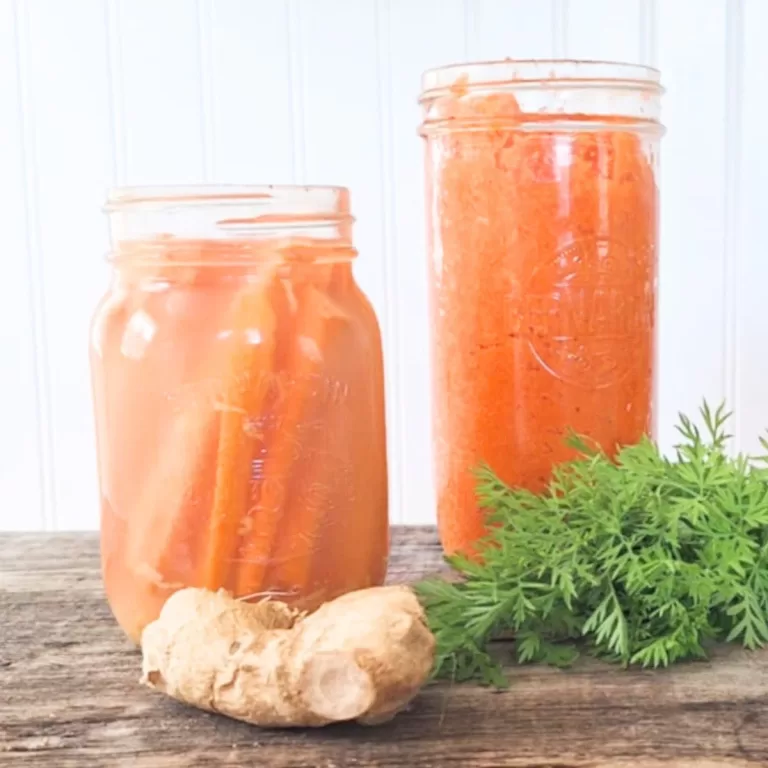 Fermented Carrots and Ginger Two Way Recipe f